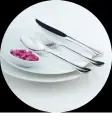 FLATWARE BURGUNDY