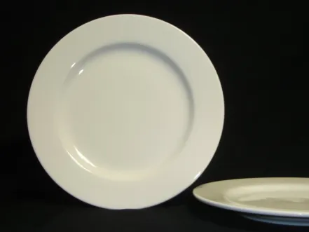 CHINAWARE RIM DINNER PLATE 1 e013_dinner_plate