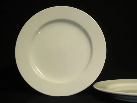 CHINAWARE RIM DINNER PLATE 1 e014_dinner_plate