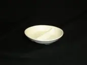 DIVIDED SAUCE DISH