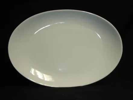 CHINAWARE STEAK / FISH PLATE 1 f851s_oval_steak_plate_1