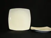 SQUARE DINNER PLATE